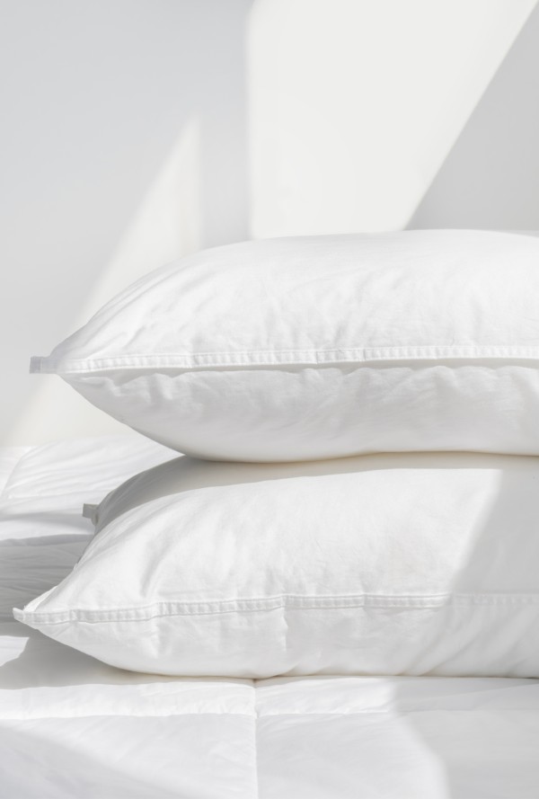 Pillow Inners Volpes